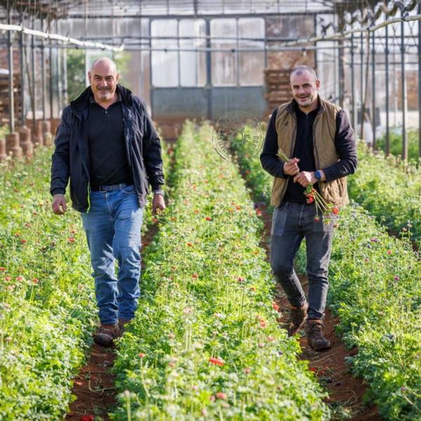 abeille fleurs horticulteur