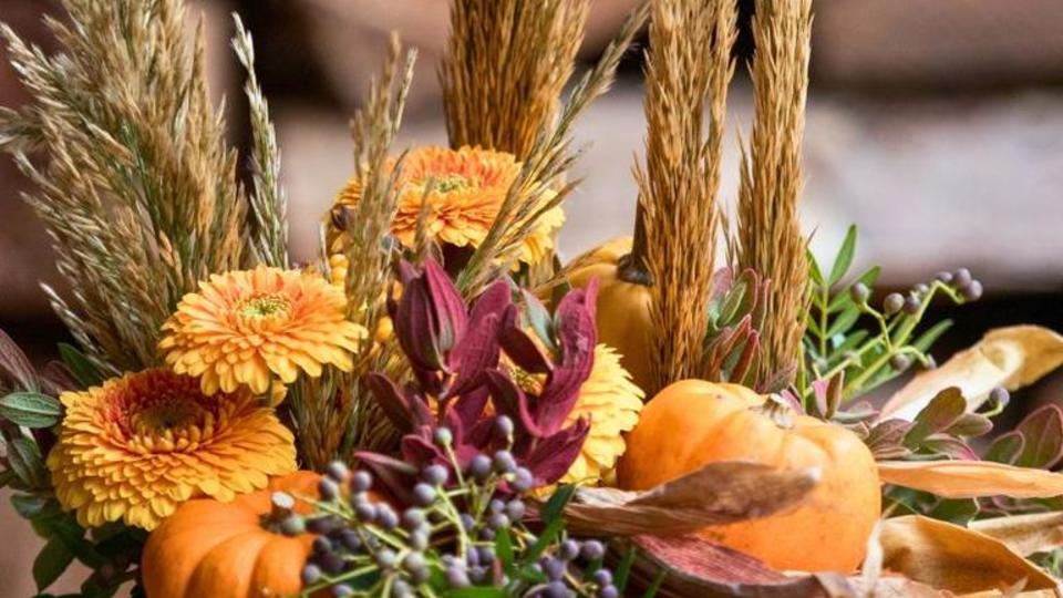 actualite-halloween-hortisud.jpg
