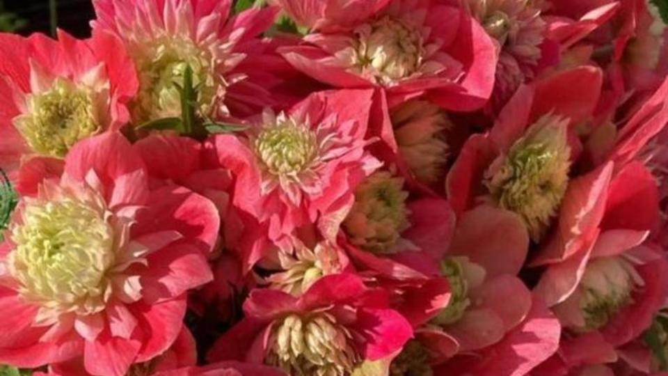 Design sans titre (12).jpg