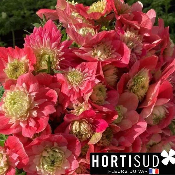 Design sans titre (12).jpg