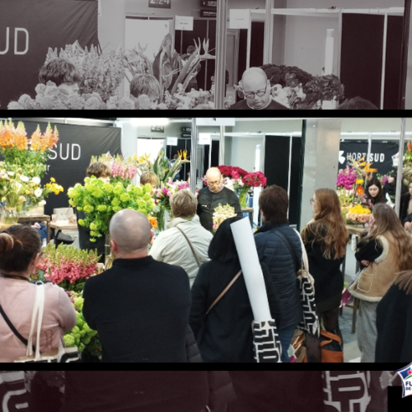 page site hortisud.png