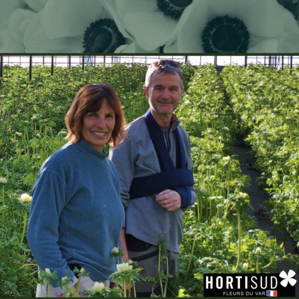 producteur-anemones-france.png