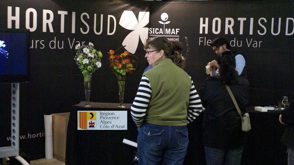 alline fleurs demo 27032012 std logreg