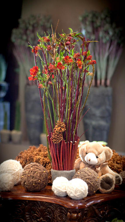 BS AO grands enfants