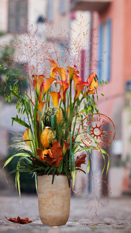 Halloween-fleurs-var-france-hortisud