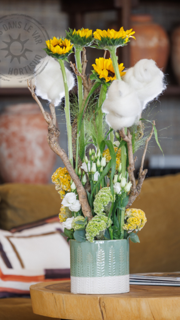 jardin barbabelle été charline tournesol