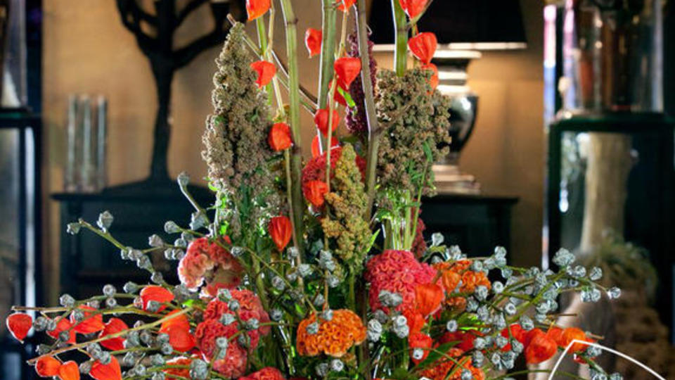 Celosie Ste Fleurs fête des grands-pères