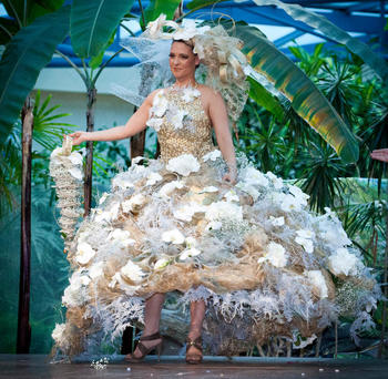 Portes ouvertes SICA