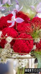 fleur-france-var-hortisud (1).jpg