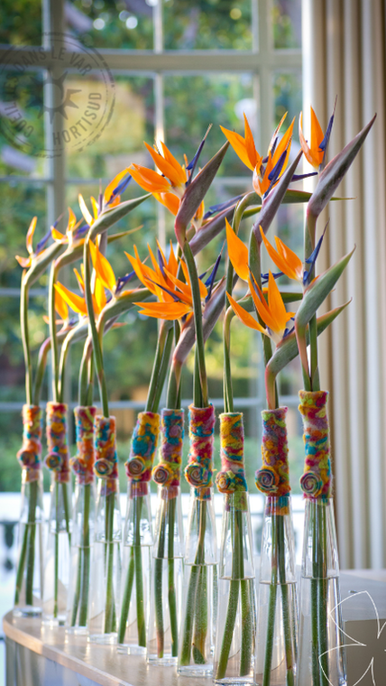 Design sans titre (9).png