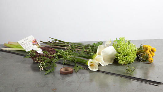 arum clair de lune 1 materiel