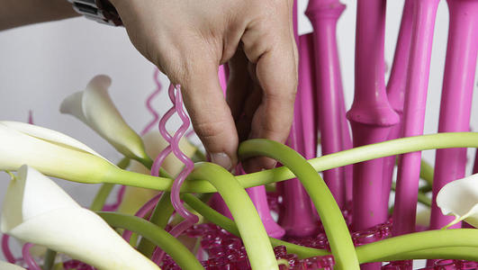 arum farandole FT etape 6