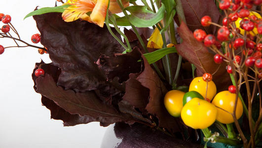 FT AO sous bois fleuri6