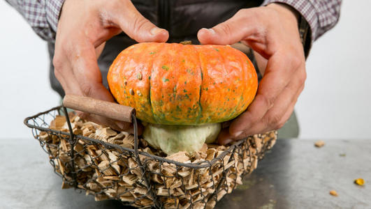 FT dahlia halloween 3