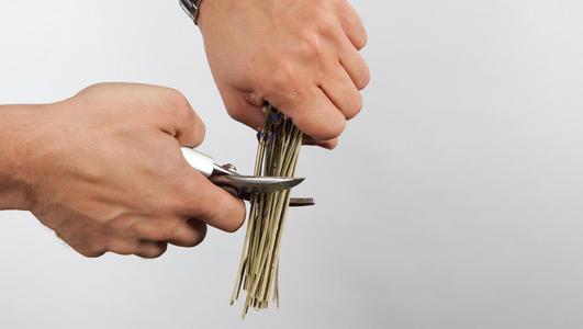 lisianthus en provence etape 3