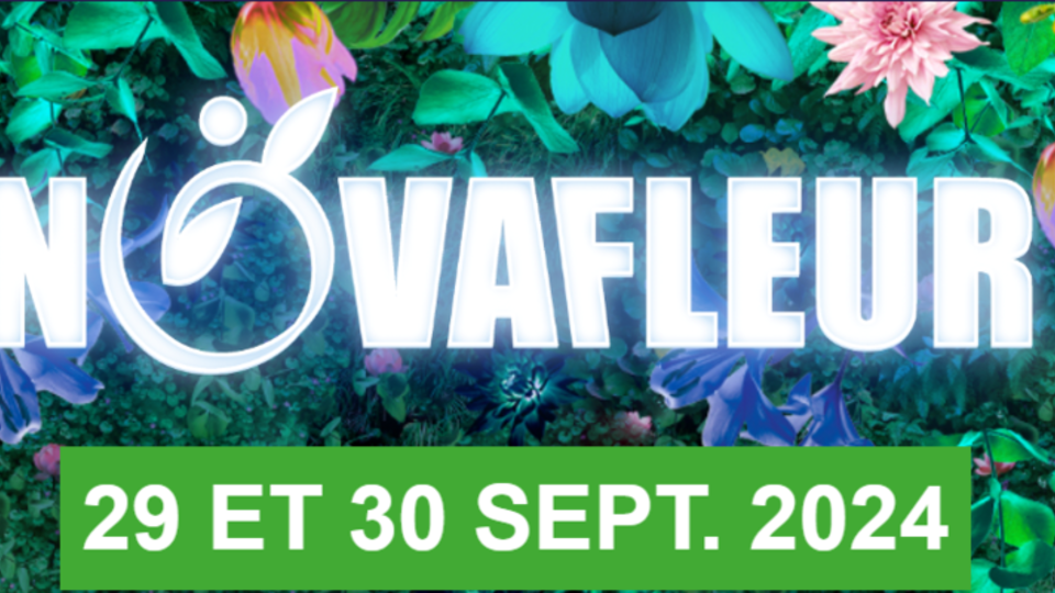 novafleur.png