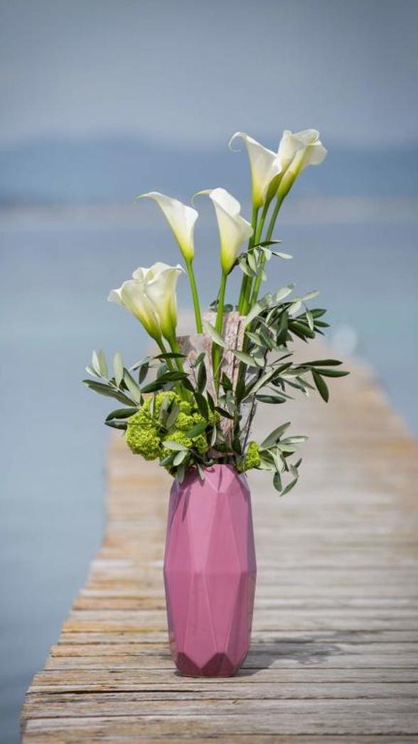 arum printemps plage d'argent