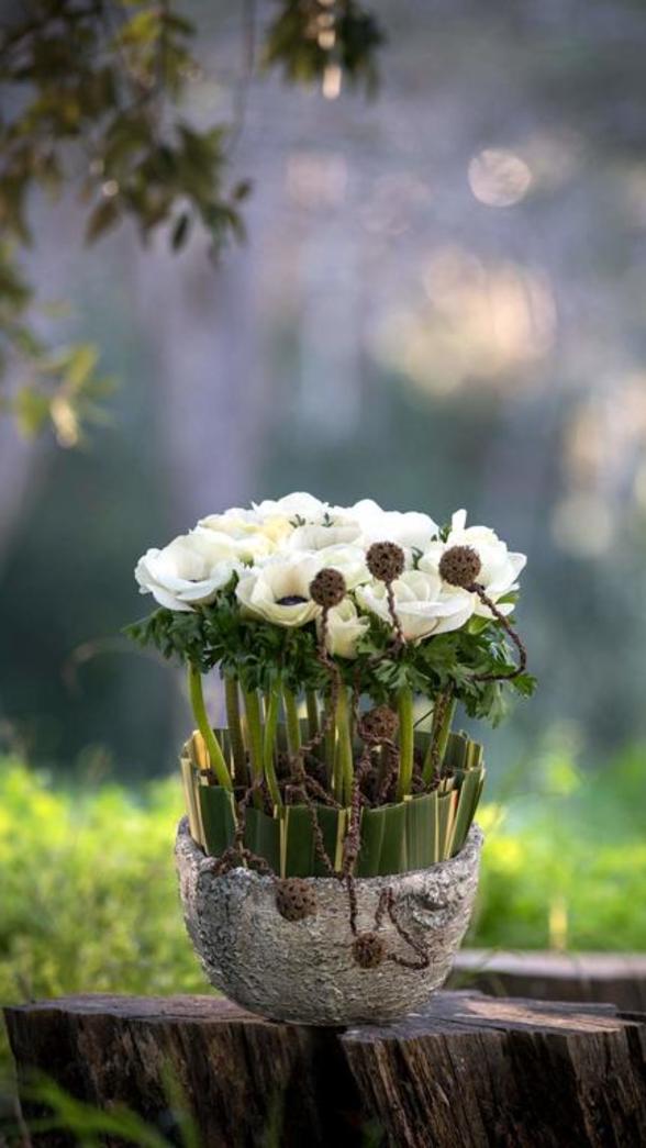 fraicheur au naturel