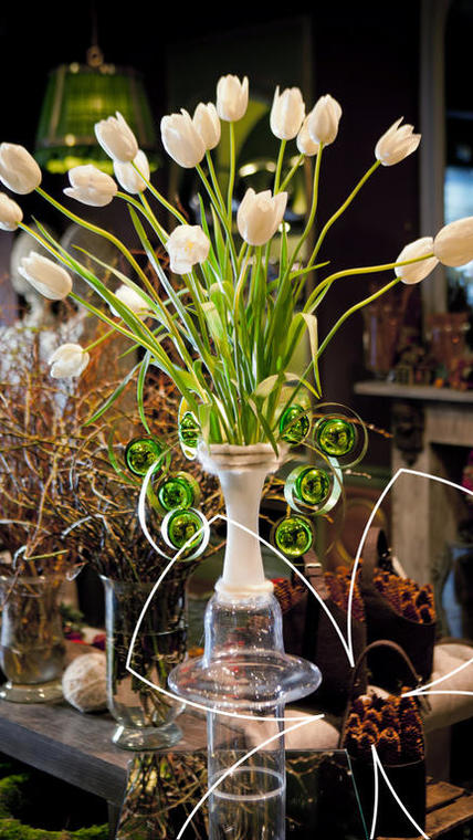 FT tulipe IF 273 tout simplement