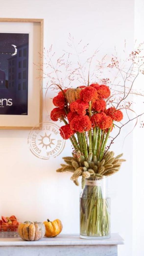 la marrante amarante d halloween