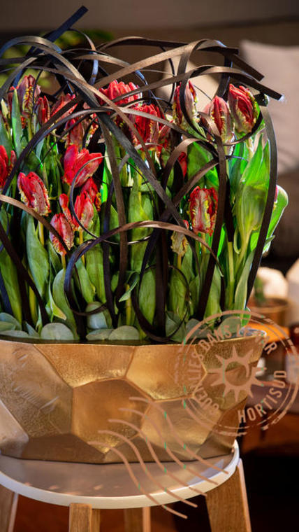 tulip'art_ charline pristcaloff