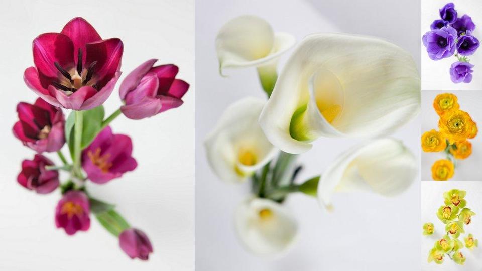 fls montage affiches